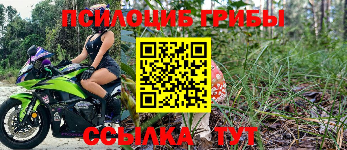 Псилоцибиновые грибы Cubensis Евпатория